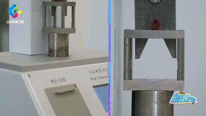 走进海尔冰箱感受保鲜创新力量！凯发k8网站《实验室奇妙游》(图5)