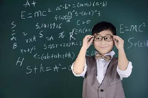 达树：做有温度的产品凯发入口童yan陈